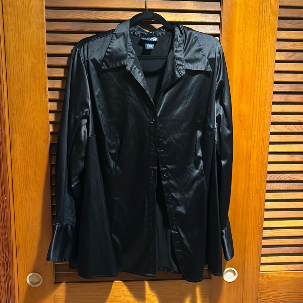 Avenue and Venezia Jeans Satiny Blouse